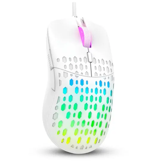 gm209_3_1.webp