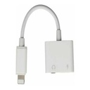 Adaptador Lightning1