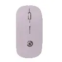 JTACCPC216.webp